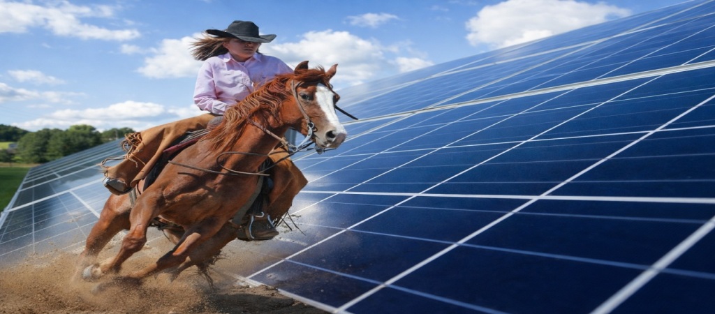 A rider on horseback beside large solar panels under a blue sky in Texas.